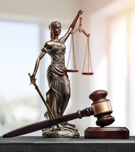 best criminal lawyers in Delhi